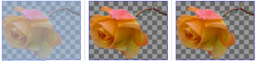 Googles freies Bildformat WebP - Eine zukünftige Alternative zu PNG? Googles freies Bildformat WebP - Eine zukünftige Alternative zu PNG?